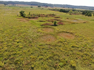 77 Acres in Lyndon Station Juneau County Online Only Auction - image 45