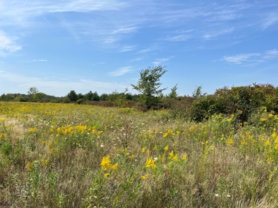 77 Acres in Lyndon Station Juneau County Online Only Auction - image 41