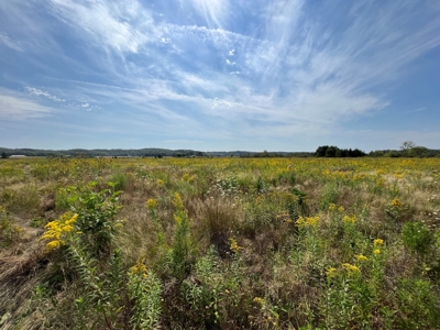 77 Acres in Lyndon Station Juneau County Online Only Auction - image 8