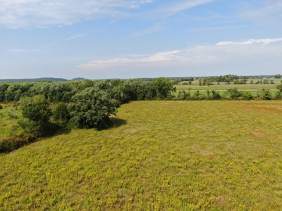 77 Acres in Lyndon Station Juneau County Online Only Auction - image 27