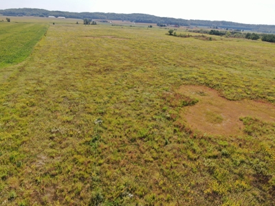 77 Acres in Lyndon Station Juneau County Online Only Auction - image 28