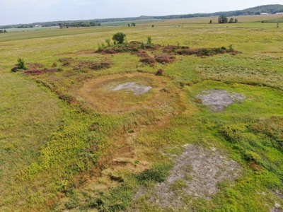 77 Acres in Lyndon Station Juneau County Online Only Auction - image 15