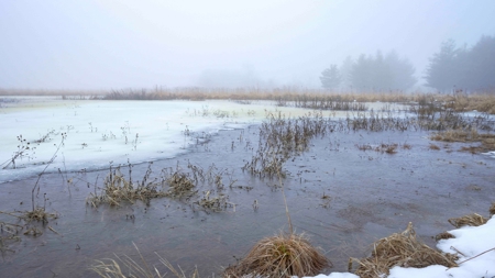 77 Acres in Lyndon Station Juneau County Online Only Auction - image 1