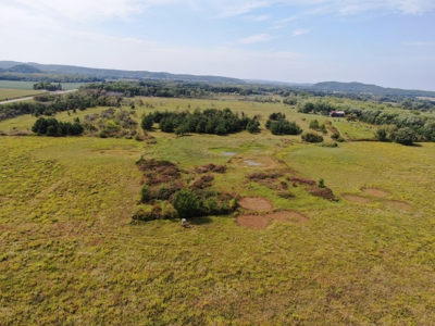 77 Acres in Lyndon Station Juneau County Online Only Auction - image 20