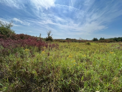 77 Acres in Lyndon Station Juneau County Online Only Auction - image 39