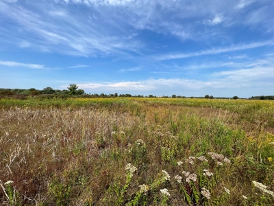 77 Acres in Lyndon Station Juneau County Online Only Auction - image 37