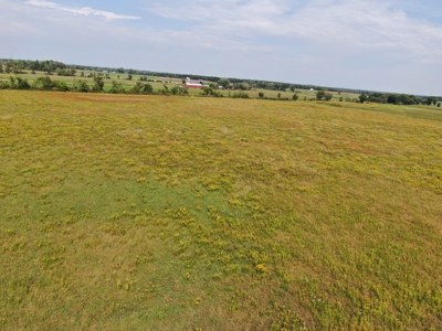 77 Acres in Lyndon Station Juneau County Online Only Auction - image 26