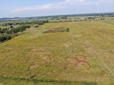 77 Acres in Lyndon Station Juneau County Online Only Auction - image 17