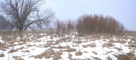 77 Acres in Lyndon Station Juneau County Online Only Auction - image 10