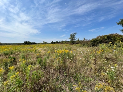 77 Acres in Lyndon Station Juneau County Online Only Auction - image 6