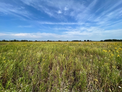 77 Acres in Lyndon Station Juneau County Online Only Auction - image 33