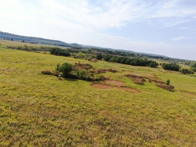 77 Acres in Lyndon Station Juneau County Online Only Auction - image 22