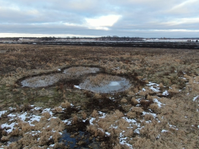 77 Acres in Lyndon Station Juneau County Online Only Auction - image 14