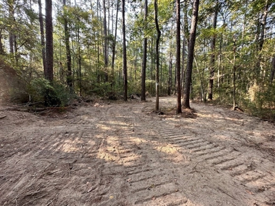 34.12 Acres Timberland, Hunting Land for Sale Southeast LA - image 4