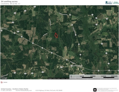 34.12 Acres Timberland, Hunting Land for Sale Southeast LA - image 31