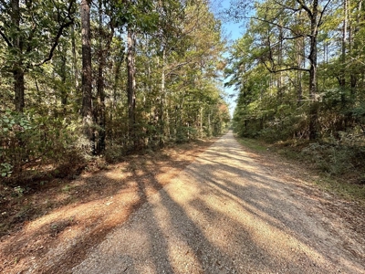 34.12 Acres Timberland, Hunting Land for Sale Southeast LA - image 28