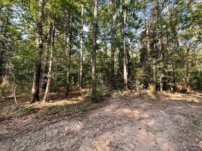 34.12 Acres Timberland, Hunting Land for Sale Southeast LA - image 17