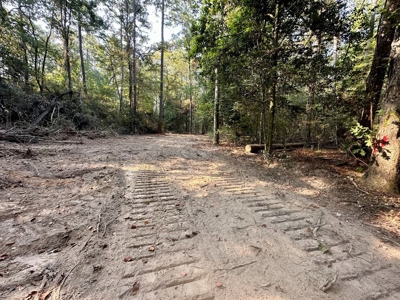 34.12 Acres Timberland, Hunting Land for Sale Southeast LA - image 5