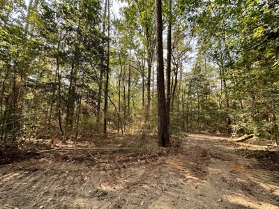 34.12 Acres Timberland, Hunting Land for Sale Southeast LA - image 27