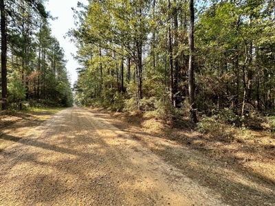 34.12 Acres Timberland, Hunting Land for Sale Southeast LA - image 29