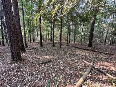 34.12 Acres Timberland, Hunting Land for Sale Southeast LA - image 15