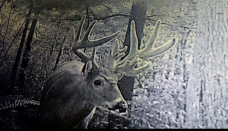Log Home with Hunting Land for Sale in Marquette County, WI - image 48