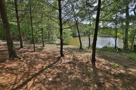 Log Home with Hunting Land for Sale in Marquette County, WI - image 35