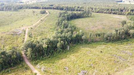 700 Acres Land for Sale Lincoln Parish, LA - image 13
