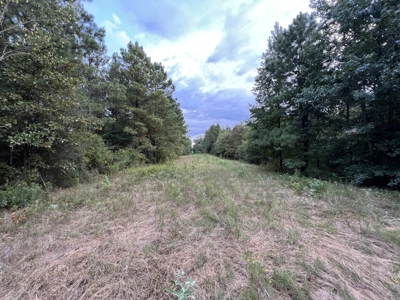 700 Acres Land for Sale Lincoln Parish, LA - image 23