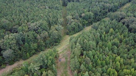 700 Acres Land for Sale Lincoln Parish, LA - image 4