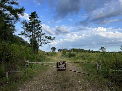 700 Acres Land for Sale Lincoln Parish, LA - image 29