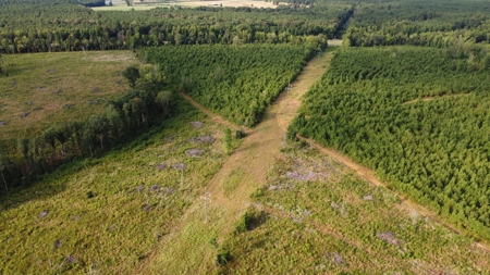 700 Acres Land for Sale Lincoln Parish, LA - image 12