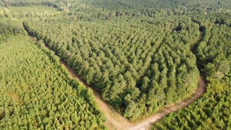 700 Acres Land for Sale Lincoln Parish, LA - image 16
