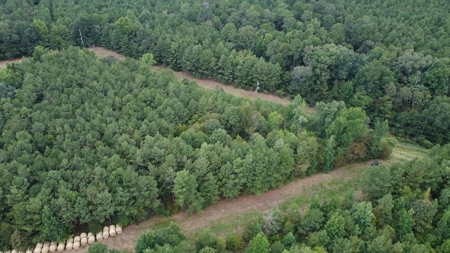 700 Acres Land for Sale Lincoln Parish, LA - image 6