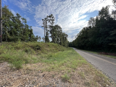 700 Acres Land for Sale Lincoln Parish, LA - image 47