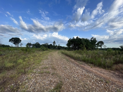 700 Acres Land for Sale Lincoln Parish, LA - image 30