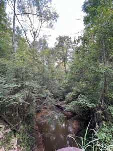 700 Acres Land for Sale Lincoln Parish, LA - image 40