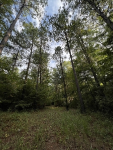 700 Acres Land for Sale Lincoln Parish, LA - image 42