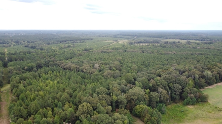 700 Acres Land for Sale Lincoln Parish, LA - image 3