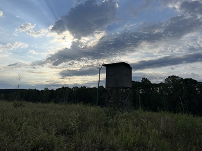 700 Acres Land for Sale Lincoln Parish, LA - image 35