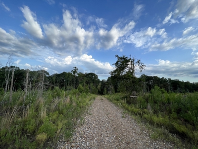 700 Acres Land for Sale Lincoln Parish, LA - image 33