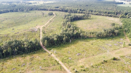 700 Acres Land for Sale Lincoln Parish, LA - image 20