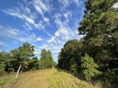 700 Acres Land for Sale Lincoln Parish, LA - image 38