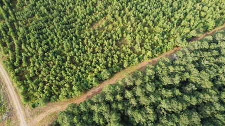 700 Acres Land for Sale Lincoln Parish, LA - image 18