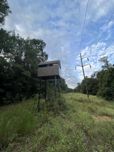 700 Acres Land for Sale Lincoln Parish, LA - image 26