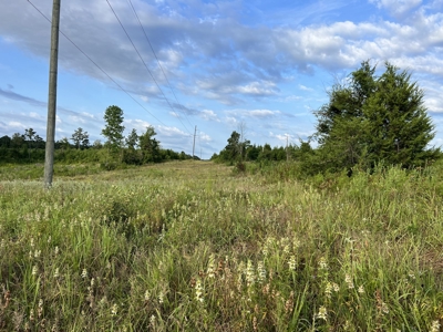 700 Acres Land for Sale Lincoln Parish, LA - image 36