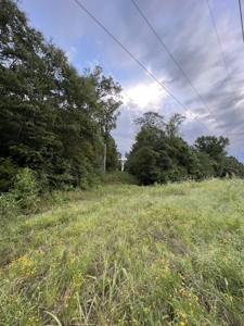 700 Acres Land for Sale Lincoln Parish, LA - image 25