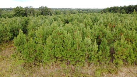 700 Acres Land for Sale Lincoln Parish, LA - image 22