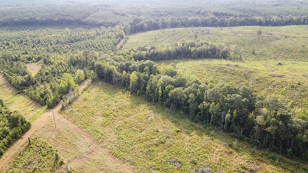700 Acres Land for Sale Lincoln Parish, LA - image 14