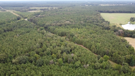 700 Acres Land for Sale Lincoln Parish, LA - image 10